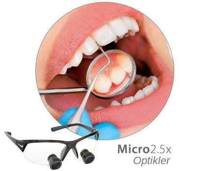 Micro2.5x Büyüteçli Gözlükler