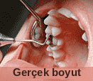 Gerçek Boyut